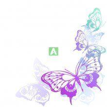 Бабочки 16