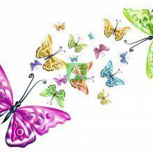 Бабочки 15